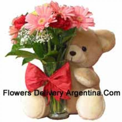 11 Red Carnations and Pink Gerberas with Teddy