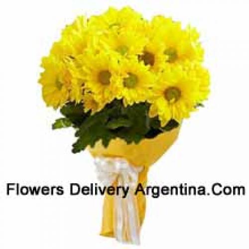 Cool 19 Yellow Gerberas