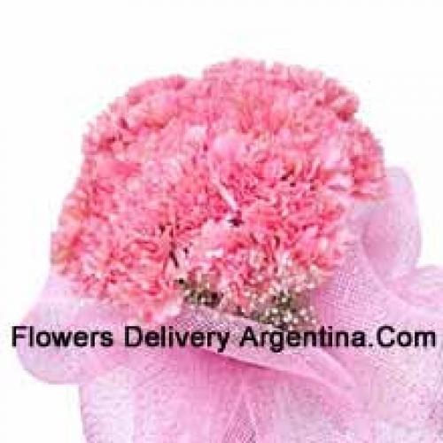 Cute 25 Pink Carnations