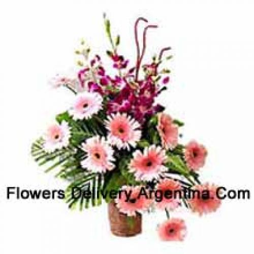 Sensational Gerberas with Orchids