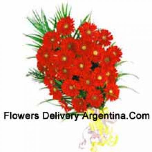 25 Exotic Red Gerberas