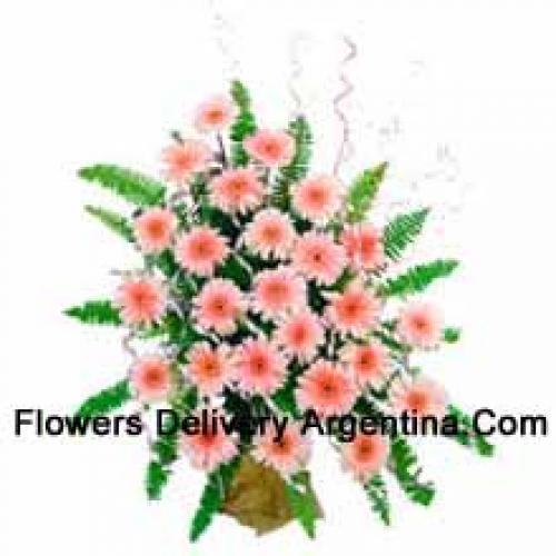 25 Cute Pink Gerberas