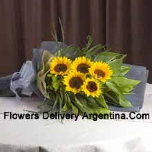 Handpicked Sunflowers Bunch