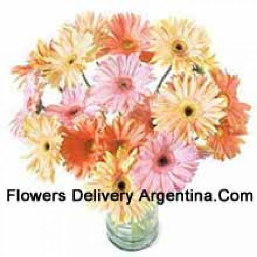 25 Fancy Assorted Gerberas