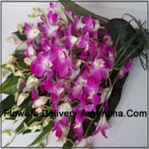 Cute Orchids Bunch