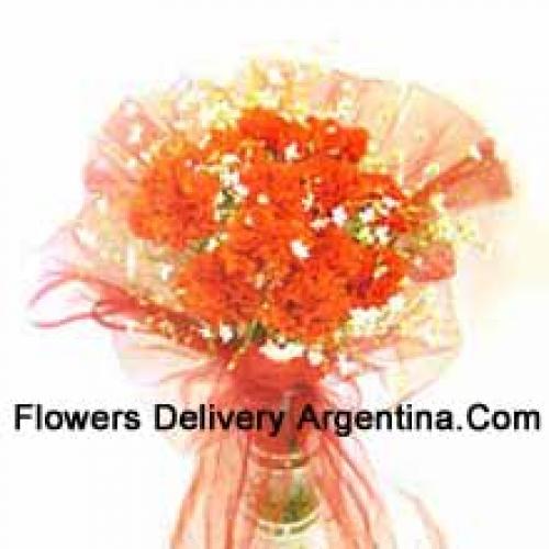 11 Orange Carnations in Vase