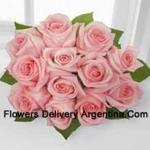 11 Beautiful Pink Roses