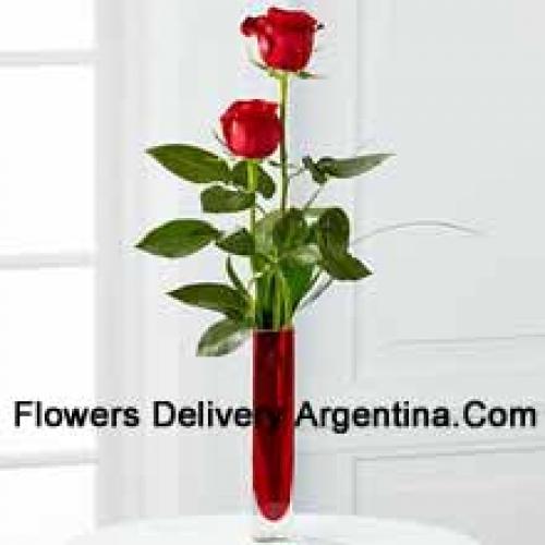 2 Sweet Red Roses in Vase